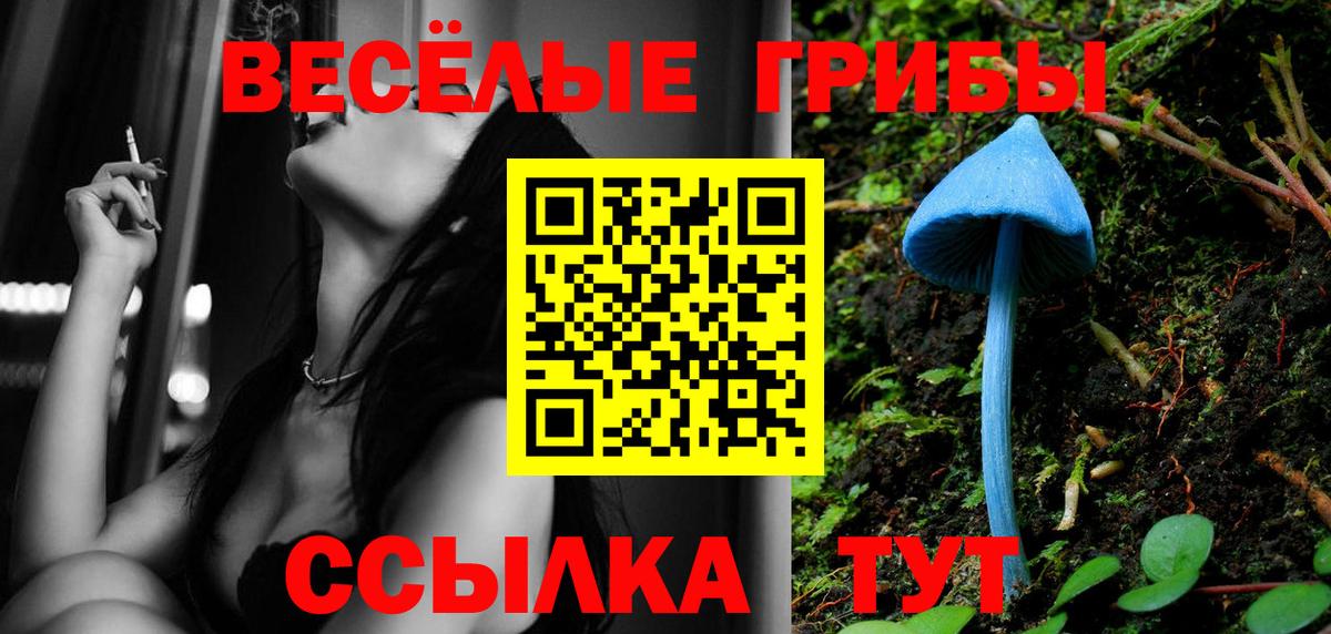 Галлюциногенные грибы мухоморы Черкесск