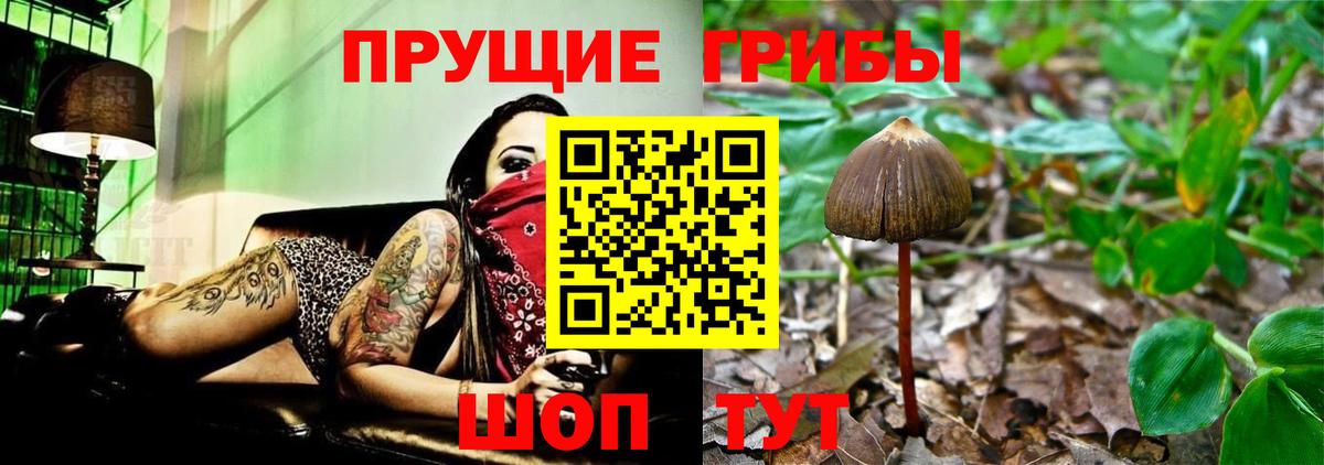 Черкесск  Галлюциногенные грибы MAGIC MUSHROOMS  Вход с VPN  Галлюциногенные грибы мухоморы 